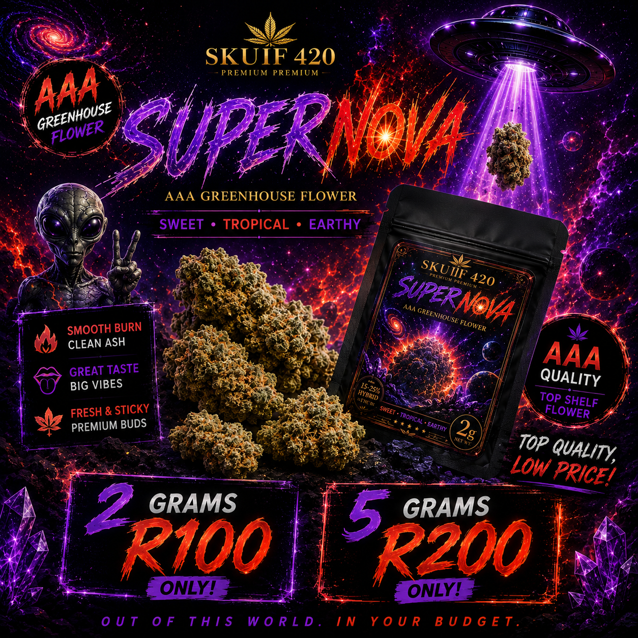 AAA Greenhouse - Supernova